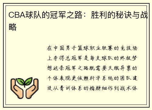 CBA球队的冠军之路：胜利的秘诀与战略